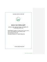 Nghiên cứu chế tạo hạt nano đa chức năng và thử nghiệm ứng dụng trong y sinh