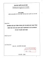 Nghiên cứu qui trình phân lập và khảo sát hoạt tính sinh học của các hợp chất Terpenoit và Flavonoit từ cây thuốc Việt Nam : Đề tào NCKH. QG.06.07