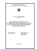 Phân Tích Rủi Ro Tín Dụng Và Các Biện Pháp Hạn Chế Rủi Ro Tín Dụng Tại Ngân Hàng Phát Triển Nhà