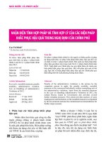 Nhận diện tính hợp pháp và tính hợp lý của các biện pháp khắc phục hậu quả trong nghị định của Chính phủ