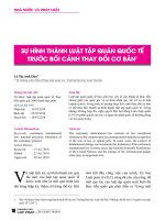 Sự hình thành luật tập quán quốc tế trước bối cảnh thay đổi cơ bản