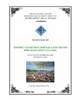 Tìm Hiểu Vấn Đề Phát Triển Du Lịch Chợ Nổi Đồng Bằng Sông Cửu Long