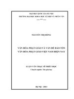 Văn hóa phật giáo và vấn đề bảo tồn văn hóa phật giáo việt nam hiện nay  