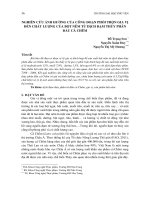 Nghiên cứu ảnh hưởng của công đoạn phối trộn gia vị đến chất lượng của bột nêm từ dịch đạm thủy phân đầu cá Chẽm