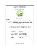 Tìm Hiểu Tình Hình Hoạt Động Sản Xuất Và Phân Phối Rau Sạch Tại Công Ty Cổ Phần Chế Biến Nông Sản