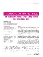 Tăng cường quản lý chính sách dân tộc trên cơ sở phân định miền núi, vùng cao và vùng dân tộc thiểu số theo trình độ phát triển