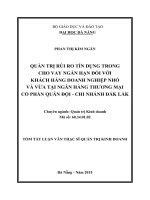 Quản trị rủi ro tín dụng trong hoạt động cho vay ngắn hạn đối với doanh nghiệp nhỏ và vừa tại Ngân hàng Thương mại cổ phần Quân Đội Chi nhánh Đắklắk