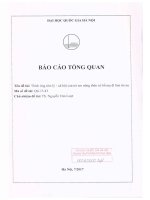 Báo cáo tổng quan đề tài "Thích ứng tâm lý - xã hội của trẻ em nông thôn có bố mẹ đi làm ăn xa"