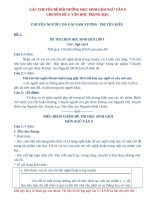 đề, đáp án bồi dưỡng học sinh giỏi môn Ngữ văn 9