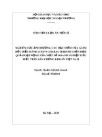 Tóm tắt luận án Tiến sĩ Quản trị kinh doanh: Nghiên cứu ảnh hưởng các đặc điểm của giám đốc điều hành (Ceo’s Characteristic) đến hiệu quả hoạt động của một số doanh nghiệp tiêu