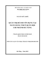 Quản trị rủi ro tín dụng trong cho vay khách hàng cá nhân tại Ngân hàng TMCP Quân đội  chi nhánh Đà Nẵng
