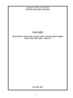 TÀI LIỆU BỒI DƯỠNG THEO TIÊU CHUẨN CHỨC DANH NGHỀ NGHIỆP GIÁO VIÊN TIỂU HỌC - HẠNG II