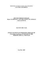 Nghiên cứu bệnh nhiễm độc tố botulin của vi khuẩn clostridium botulinum trên vịt tại một số tỉnh đồng bằng sông cửu long tt tiếng anh 