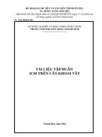 TÀI LIỆU TẬP HUẤN ICM TRÊN CÂY KHOAI TÂY