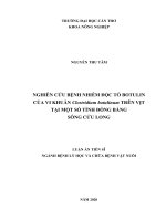 Nghiên cứu bệnh nhiễm độc tố botulin của vi khuẩn clostridium botulinum trên vịt tại một số tỉnh đồng bằng sông cửu long 