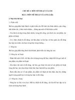 giáo án mĩ thuật 1 bộ cánh diều 