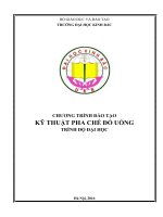 CHƯƠNG TRÌNH ĐÀO TẠO KỸ THUẬT PHA CHẾ ĐỒ UỐNG. TRÌNH ĐỘ ĐẠI HỌC