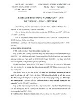 KẾ HOẠCH HOẠT ĐỘNG NĂM HỌC 2017 – 2018TỔ THỂ DỤC – NHẠC – MĨ THUẬT