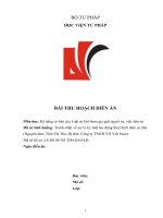 Dien an dan su ho so 9 2020 tran thi thu cong ty YD