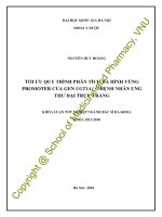 Tối ưu quy trình phân tích đa hình vùng promoter của gen UGT1A1 ở bệnh nhân ung thư đại trực tràng002 