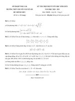 Đề thi chọn đội tuyển học sinh giỏi dự thi quốc gia môn Toán lớp 12 năm học 2020-2021 – Trường THPT Chuyên Nguyễn Du (Vòng 1)