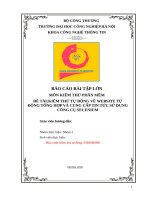 Bai tap lon kiem thu tu dong