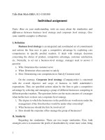 Individual assignment