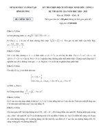 Đề thi chọn đội tuyển học sinh giỏi dự thi quốc gia môn Toán lớp 11 năm học 2020-2021 - Sở Giáo dục và Đào tạo Bình Dương