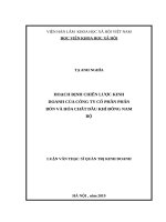 HOẠCH ĐỊNH CHIẾN LƯỢC KINH DOANH CỦA CÔNG TY CỔ PHẦN PHÂN BÓN VÀ HÓA CHẤT DẦU KHÍ ĐÔNG NAM BỘ