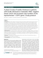 A phase II study of weekly irinotecan in patients with locally advanced or metastatic HER2- negative breast cancer and increased copy numbers of the topoisomerase 1 (TOP1) gene: A study