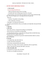 giáo án chủ đề stem toán 6, toán 7