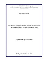 Các nhân tố tác động đến thu nhập hộ gia đình nông thôn địa bàn huyện lai vung, tỉnh đồng tháp 