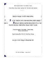 Các nhân tố ảnh hưởng đến hiệu quả hoạt động kinh doanh của ngân hàng thương mại việt nam 