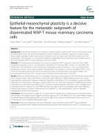 Epithelial-mesenchymal plasticity is a decisive feature for the metastatic outgrowth of disseminated WAP-T mouse mammary carcinoma cells