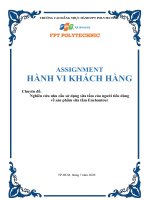 ASM Hành vi khách hàng của sản phẩm sữa tắm Enchanteur