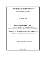 Ngữ nghĩa của tiền tố по  trong động từ tiếng nga và phương thức chuyển dịch sang tiếng việt  luận văn ths  ngôn ngữ học 60 22 05 