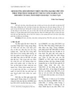 Định hướng đổi mới phát triển trường Đại học Phú Yên theo tinh thần Nghị quyết Trung ương 8 khóa XI về đổi mới căn bản, toàn diện giáo dục và đào tạo