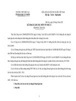 Kế hoạch giáo dục môn học tin học 11