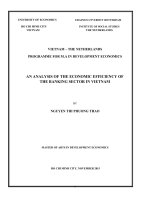 An analysis of the economic efficiency of the banking sector in vietnam 