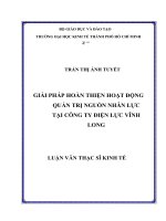 Giải pháp hoàn thiện hoạt động quản trị nguồn nhân lực tại công ty điện lực vĩnh long 