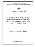 Các yếu tố tác động đến quyết định lựa chọn dịch vụ ngân hàng điện tử tại ngân hàng TMCP á châu khu vực tỉnh tây ninh 