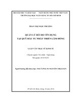 Quản lý rủi ro tín dụng tại quỹ đầu tư phát triển lâm đồng 