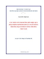 Các nhân tố ảnh hưởng đến hiệu quả hoạt động kinh doanh ngân hàng thương mại cổ phần công thương việt nam 