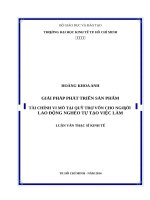 Giải pháp phát triển sản phẩm tài chính vi mô tại quỹ trợ vốn cho người lao động nghèo tự tạo việc làm 