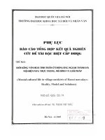 Đời sống văn hóa tinh thần ở thôn làng ngoại thành hà nội hiện naythực trạng, mô hình và giải pháp đề tài NCKH  QG 03 09 