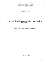 Dạy nghề cho lao động nông thôn ở tỉnh ninh bình   