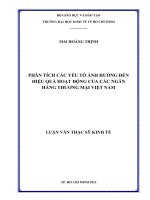 Phân tích các yếu tố ảnh hưởng đến hiệu quả hoạt động của các ngân hàng thương mại việt nam 