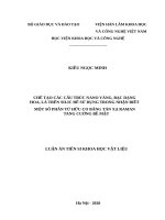 Chế tạo các cấu trúc nano vàng, bạc dạng hoa, lá trên silic để sử dụng trong nhận biết một số phân tử hữu cơ bằng tán xạ raman tăng cường bề mặt  