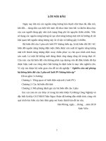 Nghiên cứu mô phỏng hệ thống biến đổi cầu 3 pha nối lưới PV không biến áp