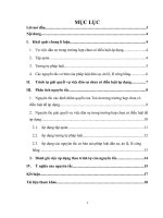 tiểu luận tố tụng dân sự 